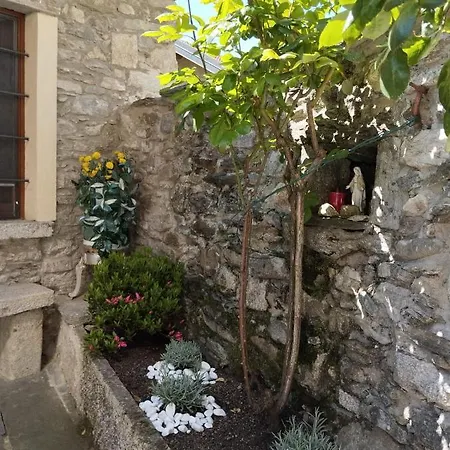 Casa de hóspedes Casa Elisa 3*